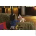   Hasbro      (F4395)