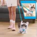   Hasbro     Wag-A-Lots  28059
