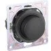  Hausmark  Bela 3   SNG-SWP.RD20MG1D-BK