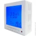  Heat Plus   BHT-307 , 20 (9992)