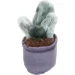 Hello World   Planty Pals   12   DT250481