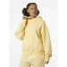  Helly Hansen ALLURE HOODIE (53981-369-M)