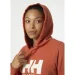  Helly Hansen Logo Hoodie (33978-179-L)