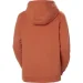  Helly Hansen Logo Hoodie (33978-179-L)