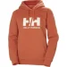  Helly Hansen Logo Hoodie (33978-179-S)