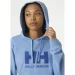 Helly Hansen LOGO HOODIE (33978-627-M)