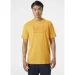   Helly Hansen Logo T-shirt (33979-364-XL)