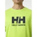   Helly Hansen Logo T-shirt (33979-395-XL)