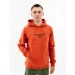  () Helly Hansen   MOVE SWEAT HOODIE  L (7d53701-308 L)