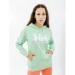  () Helly Hansen   W HH LOGO HOODIE  S (7d33978-419 S)