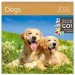 Helma 365  HELMA 2026 30  30  Dogs (LP02-26)