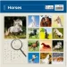 Helma 365  HELMA 2026 30  30  Horses (LP03-26)