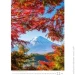 Helma 365  HELMA 2026 31,5  45  Mountains (N126-26)