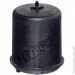   Hengst Z16 D183 (Z16D183)
