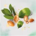 Herbal Essences     275 (8001841436869)