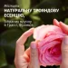 Шампунь Herbal Essences Аромат розы 350 мл (8700216211277) Шампунь Herbal Essences Аромат розы 350 мл (8700216211277)
