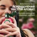  Herbal Essences   350  (8700216211277)