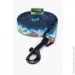 - Hidog   "Adventure" ,  10  ( 152 ) (2100102300010)