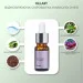          PERFECT SKIN Hillary (HI-11-151)
