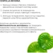        ReNuAge Day & Night Anti-Aging Serums Hillary (2314946203820)