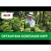  Hipp ---- 190  (9062300132479)