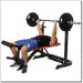 HMS LS3859 BARBELL BENCH (17-53-400)