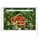 Hoozo - MT Pad 364 LTE 3/64 Pink +  -