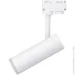   Hopfen   TLS COB 10  4000  