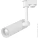   Hopfen   TLS COB 10  4000  