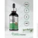  Horbaach  -  ' Slippery Elm Bark 59  (4384307639)