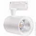     HOROZ ELECTRIC "LYON-10" 10W 4200 