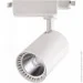      HOROZ ELECTRIC "LYON-24" 24W 4200 ( ) 