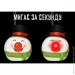    LED  6,5 ,  ., House of Seasons (8718861435528GREEN)
