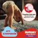  Huggies Pants  5   (12-17 ), 68  (5029053564128)