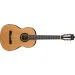   Ibanez GA15 NT