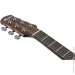   Ibanez AAD50-LG