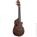  Ibanez AUC14 OVL