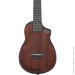  Ibanez AUC14 OVL
