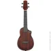 Ibanez AUC14 OVL