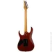  Ibanez grg220pa1 Electionara