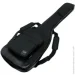   - IBANEZ IBB540 BK