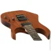  Ibanez RG421 MOL