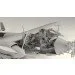  ICM Do 217N-1,      1:48 (ICM48271)