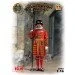  ICM   "" 1:16 (ICM16006)