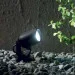 Ideal Lux Minitommy PT1 Nero