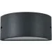 Ideal Lux   REX-2 AP1 ANTRACITE (092423) (092423-Ideal)