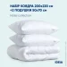    IDEIA  200220  2  5070  (8-32955)