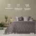  IDEIA 240260 , / (4820227286287)