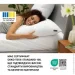  2  50x70       IDEIA () (8-35778)