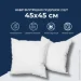  4545  2  IDEIA ,     () (8-36039)